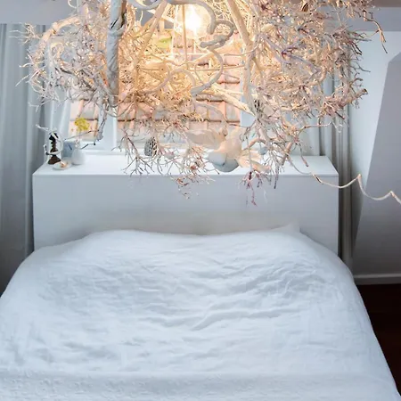 Cosy Real Dutch Family House Anno 1910 Holiday home Alkmaar