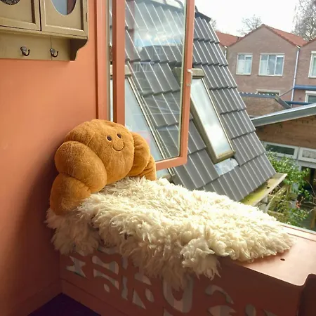 Cosy Real Dutch Family House Anno 1910