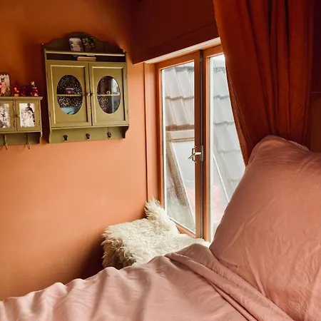 Cosy Real Dutch Family House Anno 1910 Holiday home Alkmaar