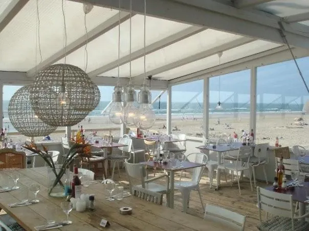 Cosy Real Dutch Family House Anno 1910 * 알크마르